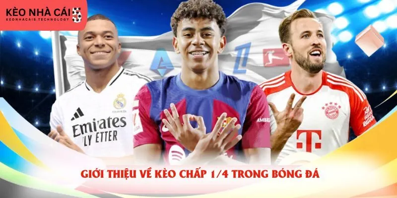 Giới thiệu về kèo chấp 1/4 trong bóng đá