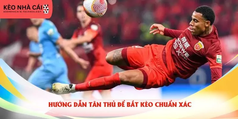 Hướng dẫn tân thủ để bắt kèo chuẩn xác